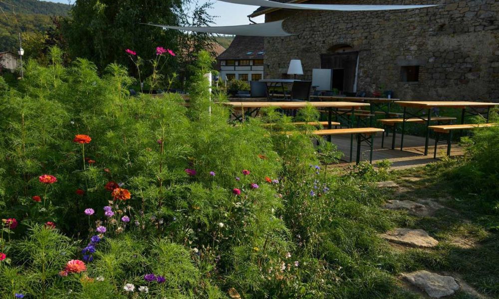 La grange des deux clefs, Moernach, Sundgau Sud Alsace, terrasse d'&eacute;t&eacute;, carte brasserie, traiteur et privatisation