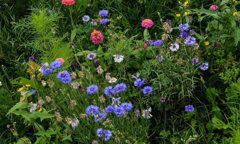 La grange des deux clefs, Moernach, Sundgau Sud Alsace, terrasse d'&eacute;t&eacute;, carte brasserie, traiteur et privatisation