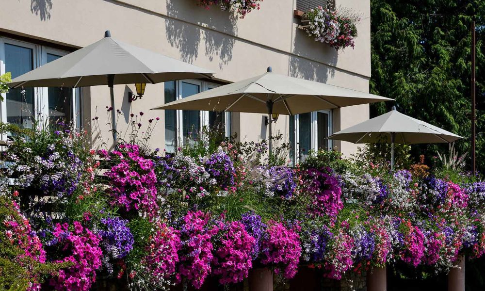 Restaurant familial Les deux Clefs à Moernach, Sundgau Sud Alsace, cuisine du marché 