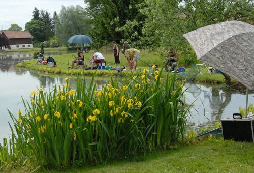 Hôtel restaurant Les deux clés à Moernach,  pêche en étang et en rivière dans le Sundgau, Alsace